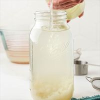 Crafty Cultures Water Kefir Grains